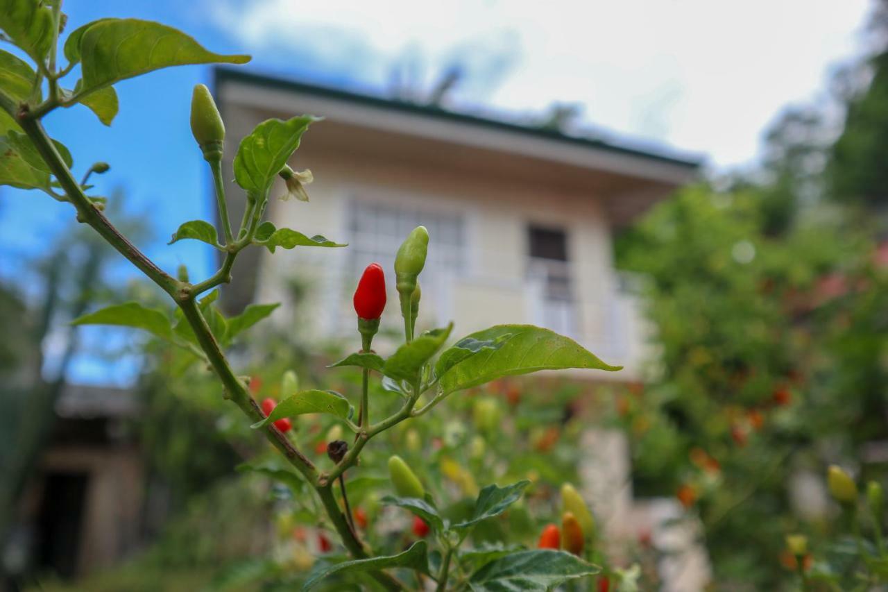 Rqs Hostel Tacloban Eksteriør billede
